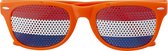 Feest/party bril - oranje thema/Koningsdag - voor volwassenen