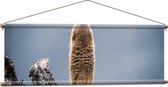Textielposter - Stokstaartje Staand op Boomstam - 120x40 cm Foto op Textiel