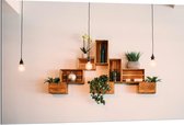 Dibond - Trio Lampen voor Kistjes met Planten aan de Muur - 120x80 cm Foto op Aluminium (Met Ophangsysteem)
