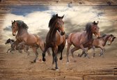 Fotobehang - Vlies Behang - Galloperende Paarden op Houten Planken - 312 x 219 cm