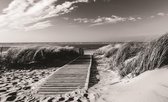 Fotobehang - Vlies Behang - Strandpad langs de duinen naar het strand en zee - 368 x 380 cm