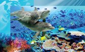 Fotobehang - Vlies Behang - Dolfijnen in Zee - Tropische Vissen - 416 x 254 cm