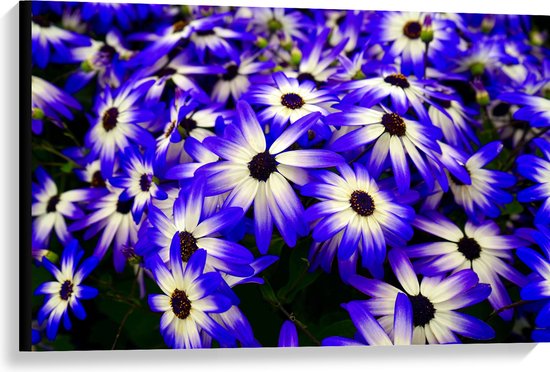 Canvas - Struik gevuld met Blauw met Witte Bloemen - 90x60 cm Foto op Canvas Schilderij (Wanddecoratie op Canvas)