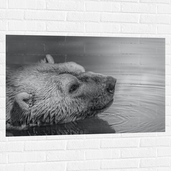 Muursticker - IJsbeer in het Water (zwart- wit) - 105x70 cm Foto op Muursticker