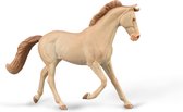 Collecta Paarden (1:20 XL): VOLBLOED MERRIE perlino 16,5x12cm