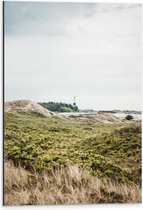 WallClassics - Dibond - Groene Grassen in Landschap voor Vuurtoren - 40x60 cm Foto op Aluminium (Met Ophangsysteem)
