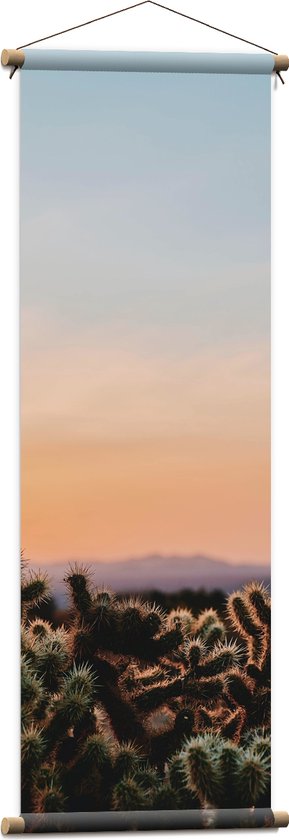 WallClassics - Textielposter - Cylindropuntia Fulgida Plantjes voor Berglandschap met Oranje Lucht - 40x120 cm Foto op Textiel