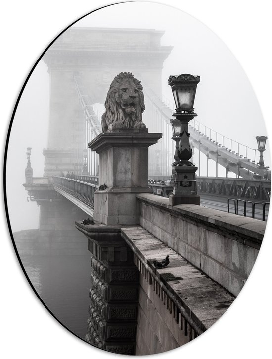 WallClassics - Dibond Ovaal - Kettingbrug over het Water - Boedapest - 30x40 cm Foto op Ovaal (Met Ophangsysteem)