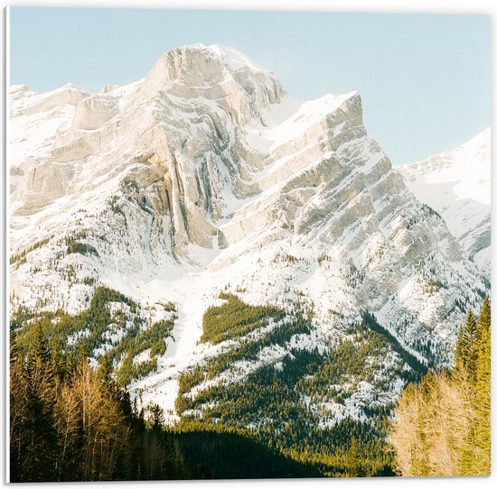 WallClassics - Panneau en mousse PVC – Route vers les montagnes enneigées – Photo 50 x 50 cm sur panneau en mousse PVC