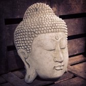 Betonnen tuinbeeld - Hoofd Boeddha