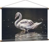 WallClassics - Textielposter - Grijze Knobbel Zwaan Staand in het Water - 90x60 cm Foto op Textiel