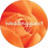 6 Buttons Weddingguest The Rose peach - roos - corsage - peach - zalm - huwelijk - trouwen
