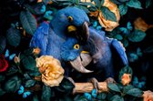 glasschilderij - vogels - 2 papegaaien - 120x80 cm - Ter Halle