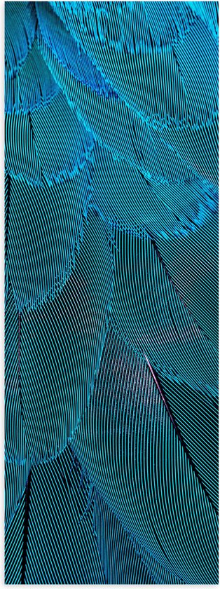 WallClassics - Poster (Mat) - Blauwe Veren - 40x120 cm Foto op Posterpapier met een Matte look