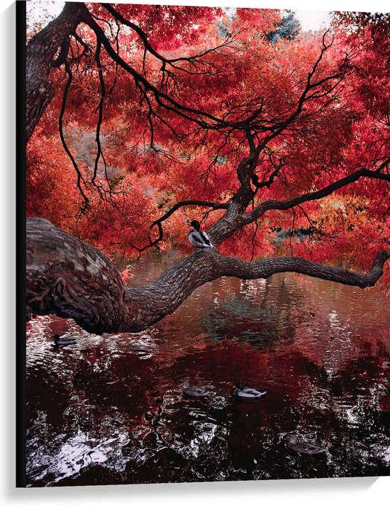 WallClassics - Canvas  - Rode Herfstboom hangend over Water - 75x100 cm Foto op Canvas Schilderij (Wanddecoratie op Canvas)