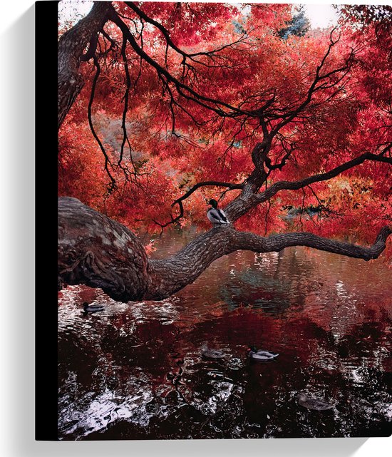 WallClassics - Canvas  - Rode Herfstboom hangend over Water - 30x40 cm Foto op Canvas Schilderij (Wanddecoratie op Canvas)