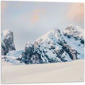 WallClassics - Tuinposter – Rotsen met Sneeuw - 80x80 cm Foto op Tuinposter  (wanddecoratie voor buiten en binnen)