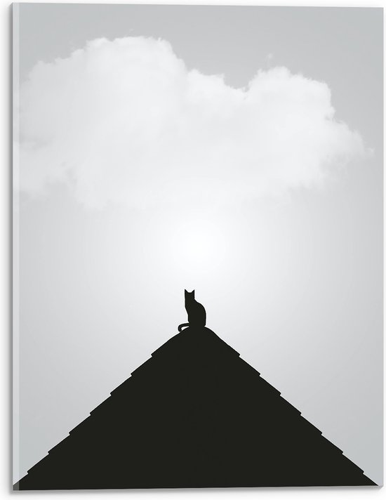 WallClassics - Acrylglas - Kat op Piramide - 30x40 cm Foto op Acrylglas (Met Ophangsysteem)