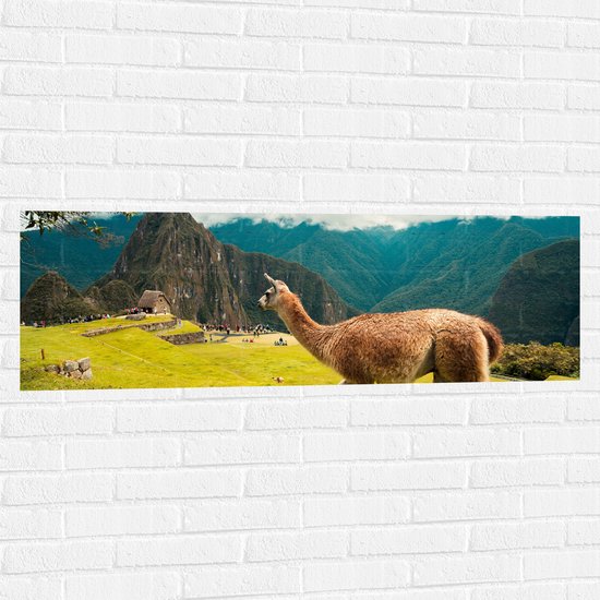 WallClassics - Muursticker - Lama tussen de Bergen - 120x40 cm Foto op Muursticker