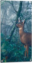 WallClassics - Tuinposter – Hert in de Bossen - 50x100 cm Foto op Tuinposter  (wanddecoratie voor buiten en binnen)