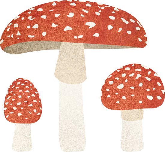 Vliegenzwam muurstickers | set van 3 paddenstoelen | Thuismusje
