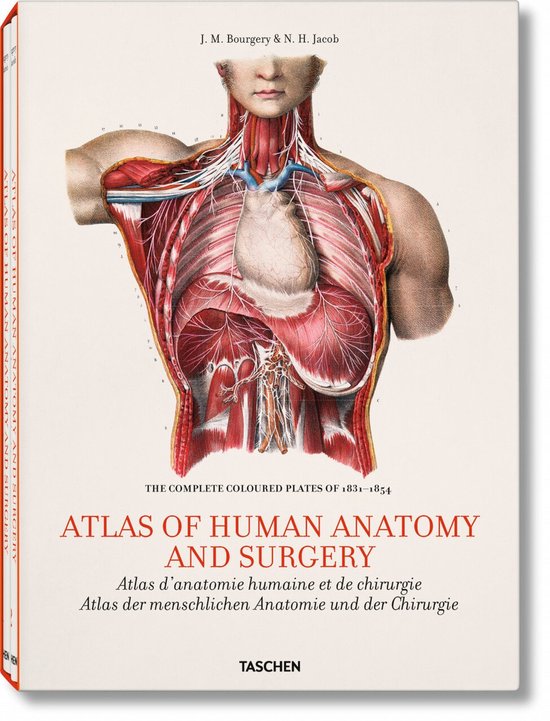 Bourgery, Atlas Of Anatomy - cover
