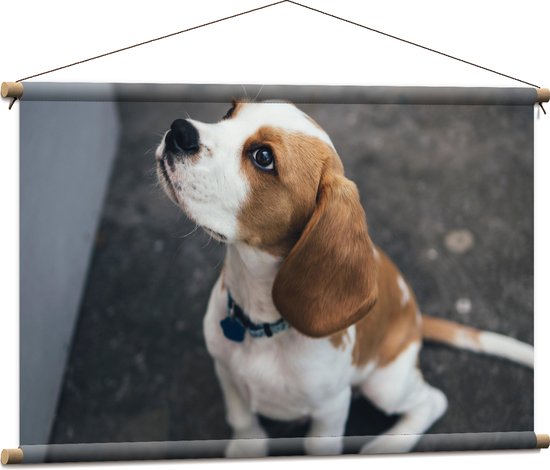 WallClassics - Textielposter - Beagle Hond Zittend op de Grond - 90x60 cm Foto op Textiel