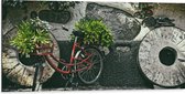 WallClassics - Dibond - Rode Fiets versierd met Planten tegen Stenen Muur - 100x50 cm Foto op Aluminium (Wanddecoratie van metaal)