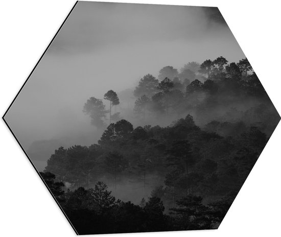 Dibond Hexagon - Mist door Donkere Bomen (Zwart- wit) - 60x52.2 cm Foto op Hexagon (Met Ophangsysteem)