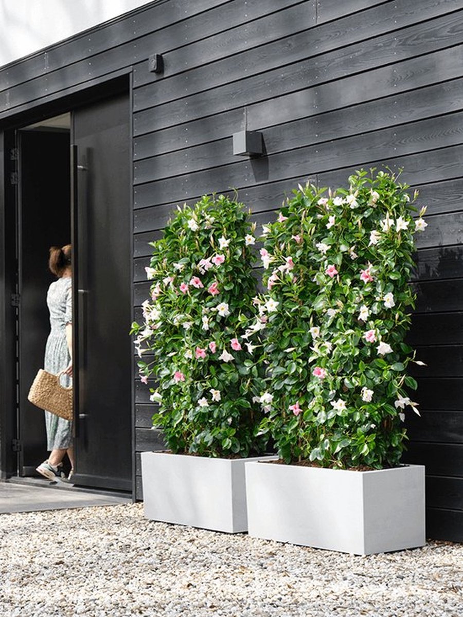 Elho Vivo Next Long 60 - Indoor & Outdoor Rectangular Planter
