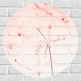 Muursticker Cirkel - Rondvliegende Zaden van Bloem - 60x60 cm Foto op Muursticker