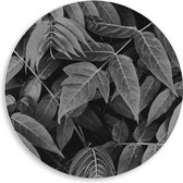PVC Schuimplaat Muurcirkel - Dichtgroeiende Planten (Zwart- wit) - 50x50 cm Foto op Muurcirkel (met ophangsysteem)