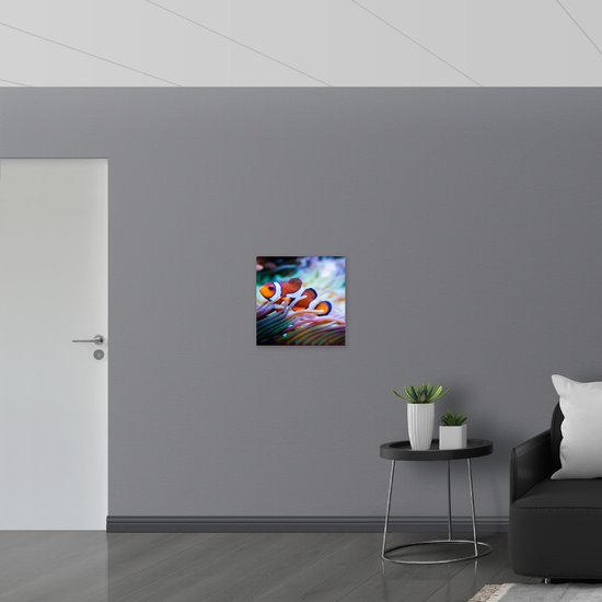 WallClassics - Bois - Poisson clown dans un aquarium - 50x50 cm - 9 mm d'épaisseur - Photo sur Bois (Avec Système d'accrochage)