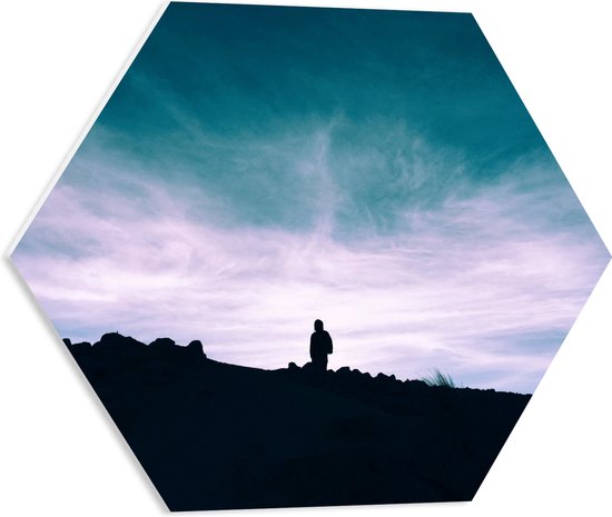 WallClassics - PVC Schuimplaat Hexagon - Silhouette van Man op een Berg - 50x43.5 cm Foto op Hexagon (Met Ophangsysteem)