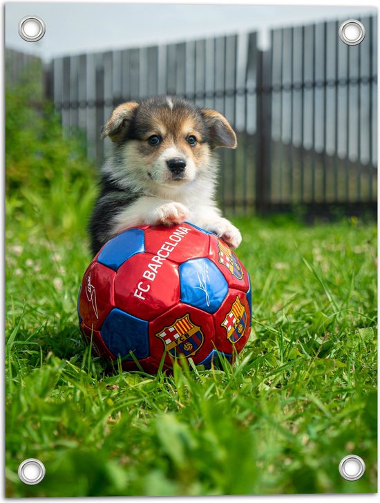 WallClassics - Tuinposter – Hondje Speelt met een Voetbal - 30x40 cm Foto op Tuinposter (wanddecoratie voor buiten en binnen)