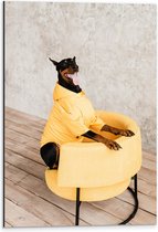 WallClassics - Dibond - Blije Hond met Gele Jas - 40x60 cm Foto op Aluminium (Met Ophangsysteem)