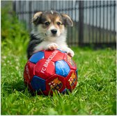 WallClassics - Poster Glanzend – Hondje Speelt met een Voetbal - 50x50 cm Foto op Posterpapier met Glanzende Afwerking