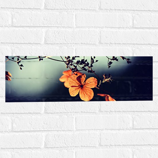 WallClassics - Muursticker - Oranje Bloem aan Boom - 60x20 cm Foto op Muursticker