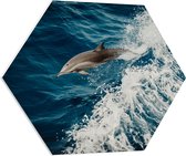 WallClassics - PVC Schuimplaat Hexagon - Springende Dolfijn in de Golvende Zee - 70x60.9 cm Foto op Hexagon (Met Ophangsysteem)