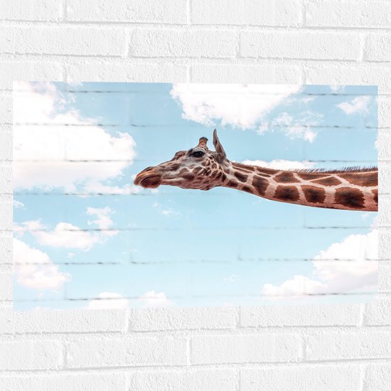 WallClassics - Muursticker - Girafe dans les Airs - 75x50 cm Photo sur Muursticker