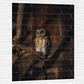 WallClassics - Muursticker - Kleine Bruine Uil op een Tak - 75x100 cm Foto op Muursticker