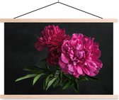 Affiche scolaire - Pivoines - Nature morte - Rose - 120x80 cm - Lattes vierges