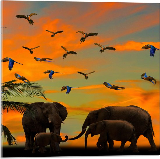 WallClassics - Acrylglas - Olifanten bij Palmbomen met Tropische Vogels - 50x50 cm Foto op Acrylglas (Wanddecoratie op Acrylaat)