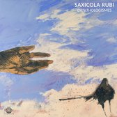 Marc Sarrazy & Laurent Rochelle - Cyclotimic Songs (CD)