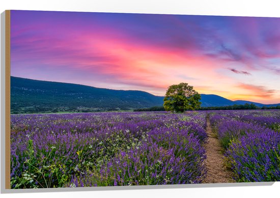 Hout - Lavendel Veld met Zonsondergang en Mooie Lucht - 105x70 cm - 9 mm dik - Foto op Hout (Met Ophangsysteem)