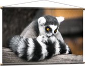 Textielposter - Ringstaart Maki Aap met Snuit in Staart op Balk - 120x80 cm Foto op Textiel