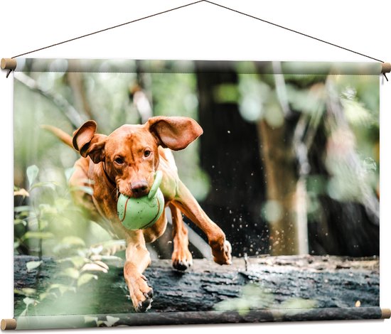 Textielposter - Spelende Hond met Bal bij Boomstam in Bos - 90x60 cm Foto op Textiel
