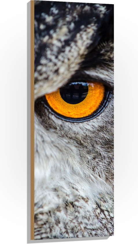 WallClassics - Hout - Close-up van Grijze Uil met Oranje Oog - 40x120 cm - 9 mm dik - Foto op Hout (Met Ophangsysteem)