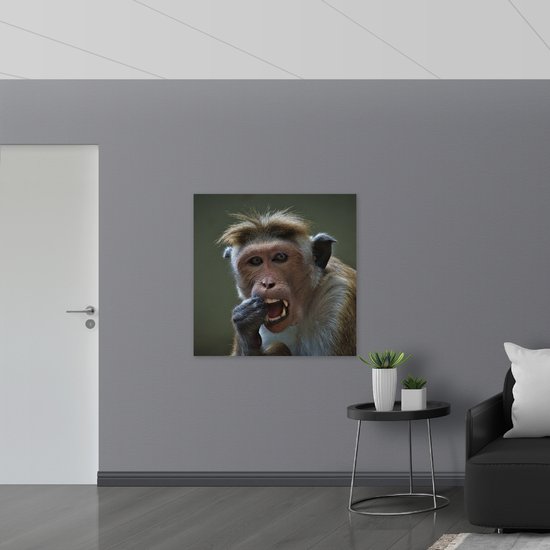 Muursticker - Aankijkende Resus Aap aan het Eten - 100x100 cm Foto op Muursticker