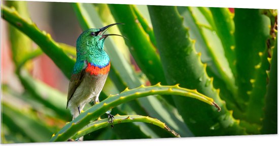 Acrylglas - Gekleurd Vogeltje in de Groene Planten - 200x100 cm Foto op Acrylglas (Met Ophangsysteem)